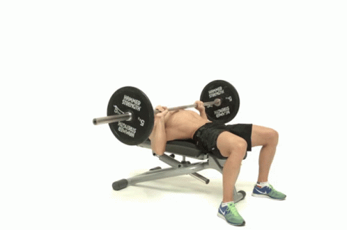 exercise chest workout