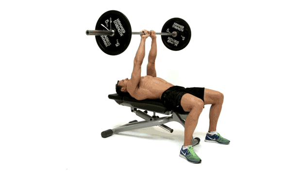 exercise chest workout
