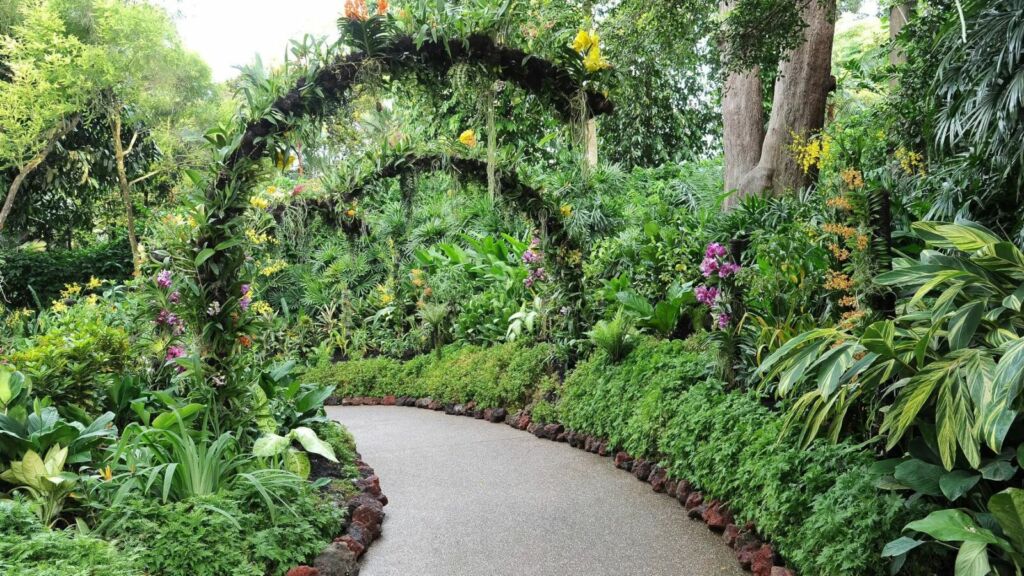 Singapore Botanic Gardens