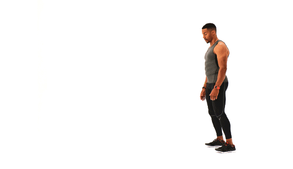 ဆော်ကြည်ဆေး