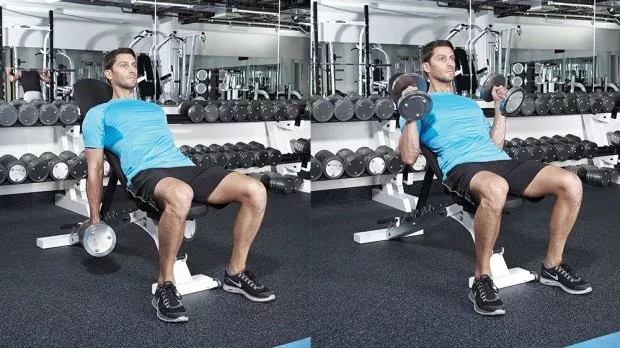 Incline Dumbbell Biceps Curl