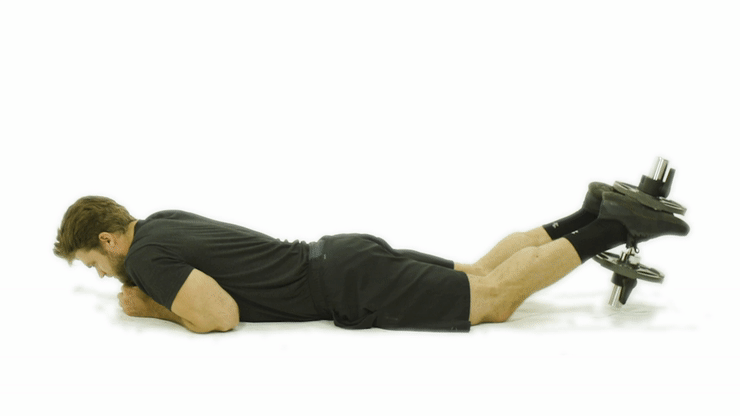 ကြွက်သား နားကား