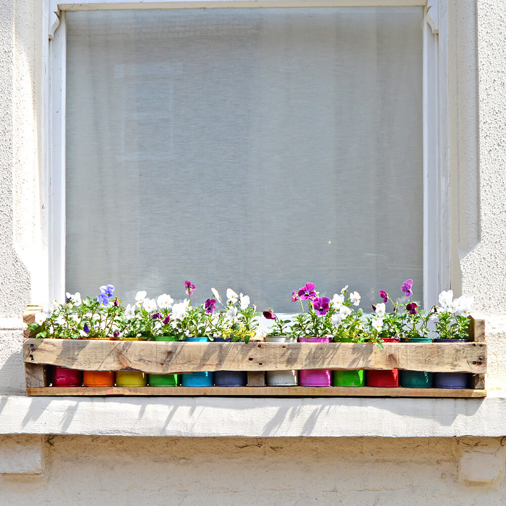 Colorful Planters