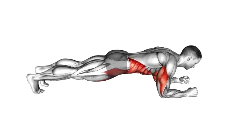 ကိရိယာလွတ်နဲ့ ဗိုက်အဆီ