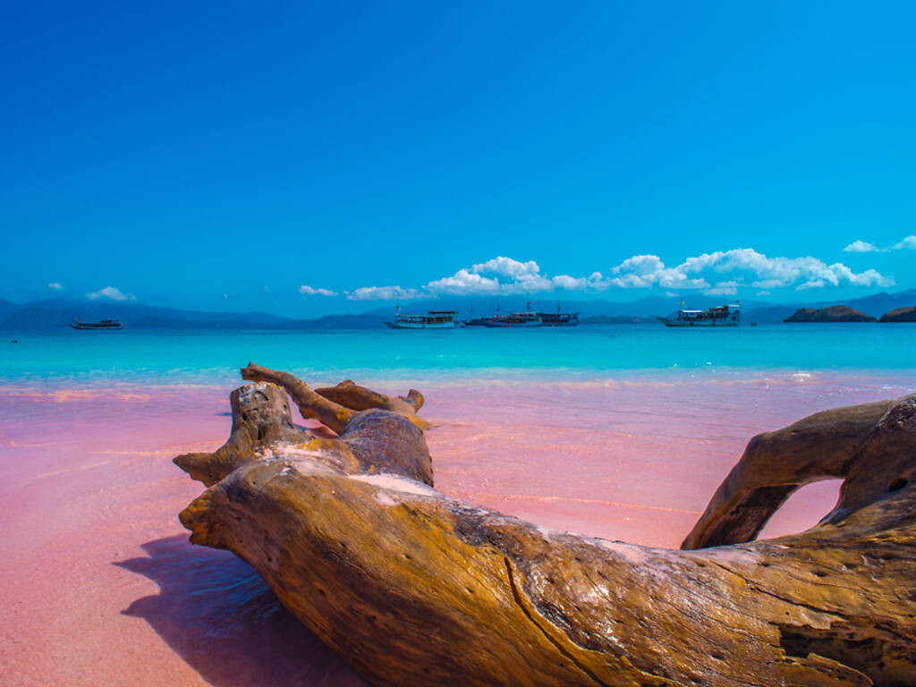 Pink Beach - Komodo Island , Indonesia