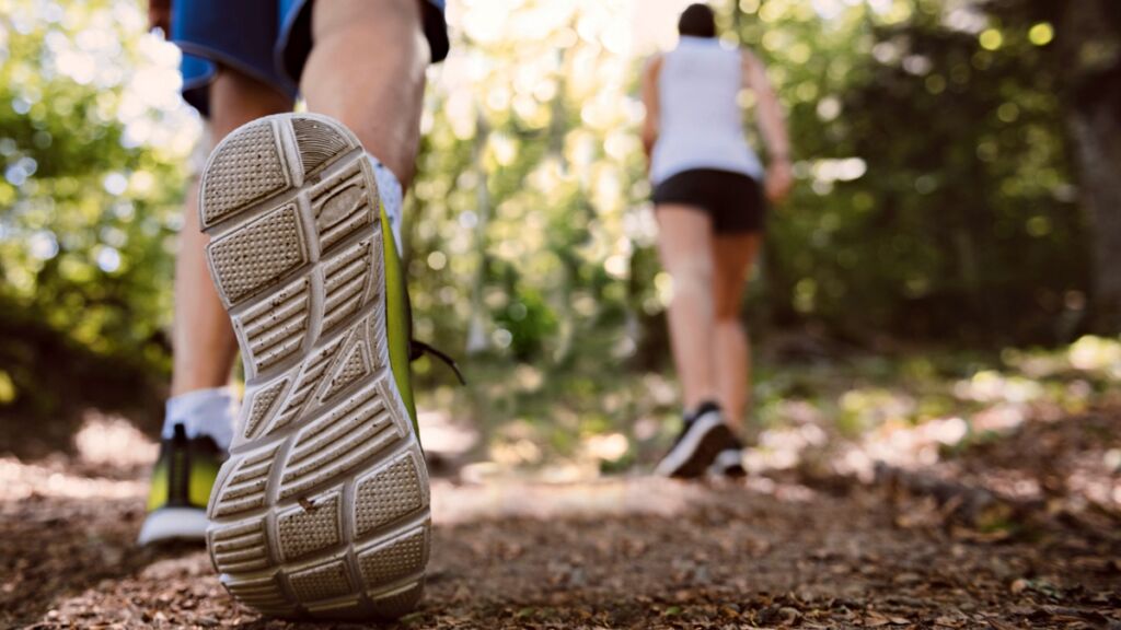 ရုပ်ရော နာမ်ပါ