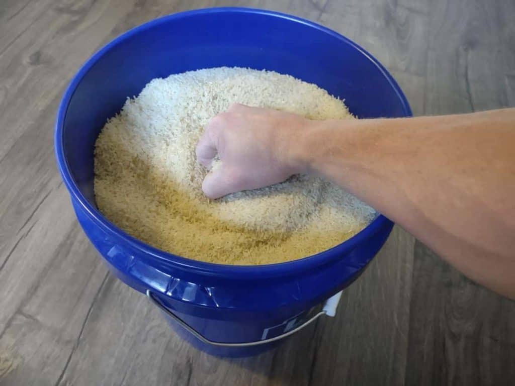 Rice Bucket Training