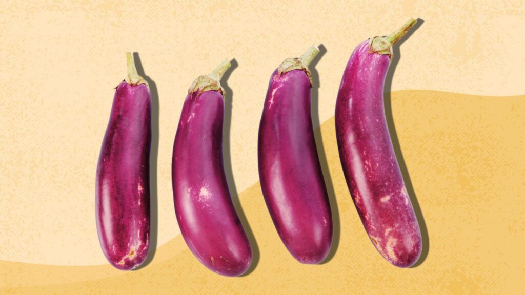 Penis Types 