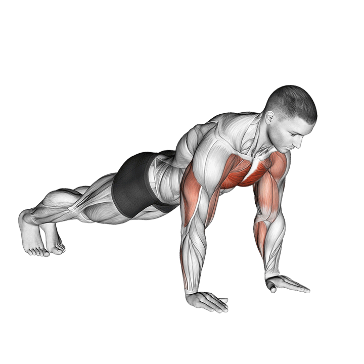 Plyometric Push-Ups