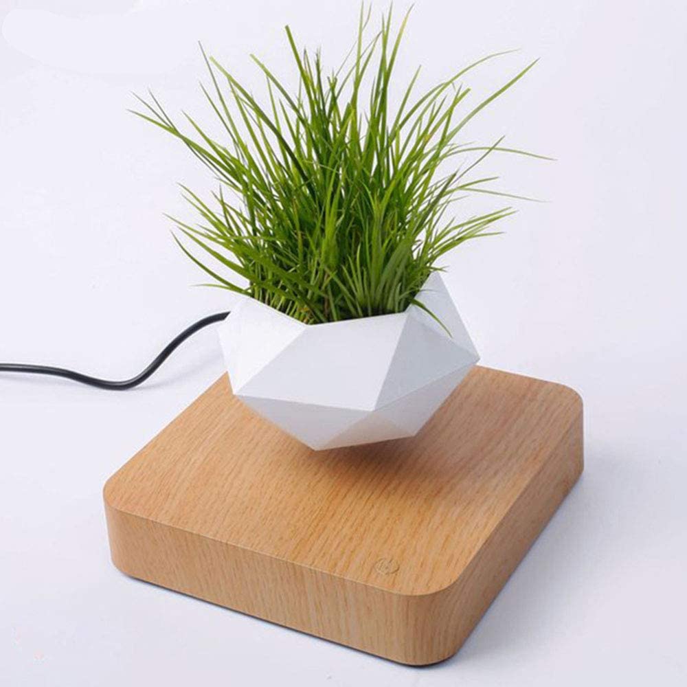 Levitating Plant Pot