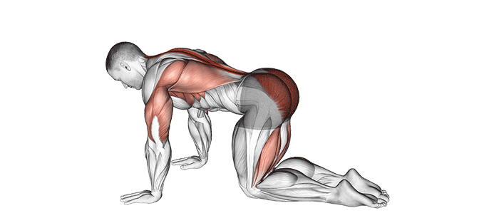 ကျောအောက်ပိုင်း ကြံ့ခိုင်သန်မာစေဖို့