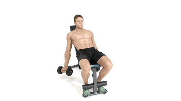 Incline Bicep Curl