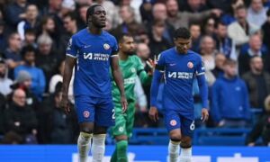 cfc defeated the bees