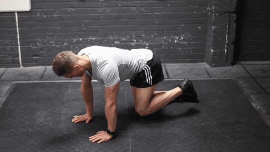 ပုံမှန် အဆီပို