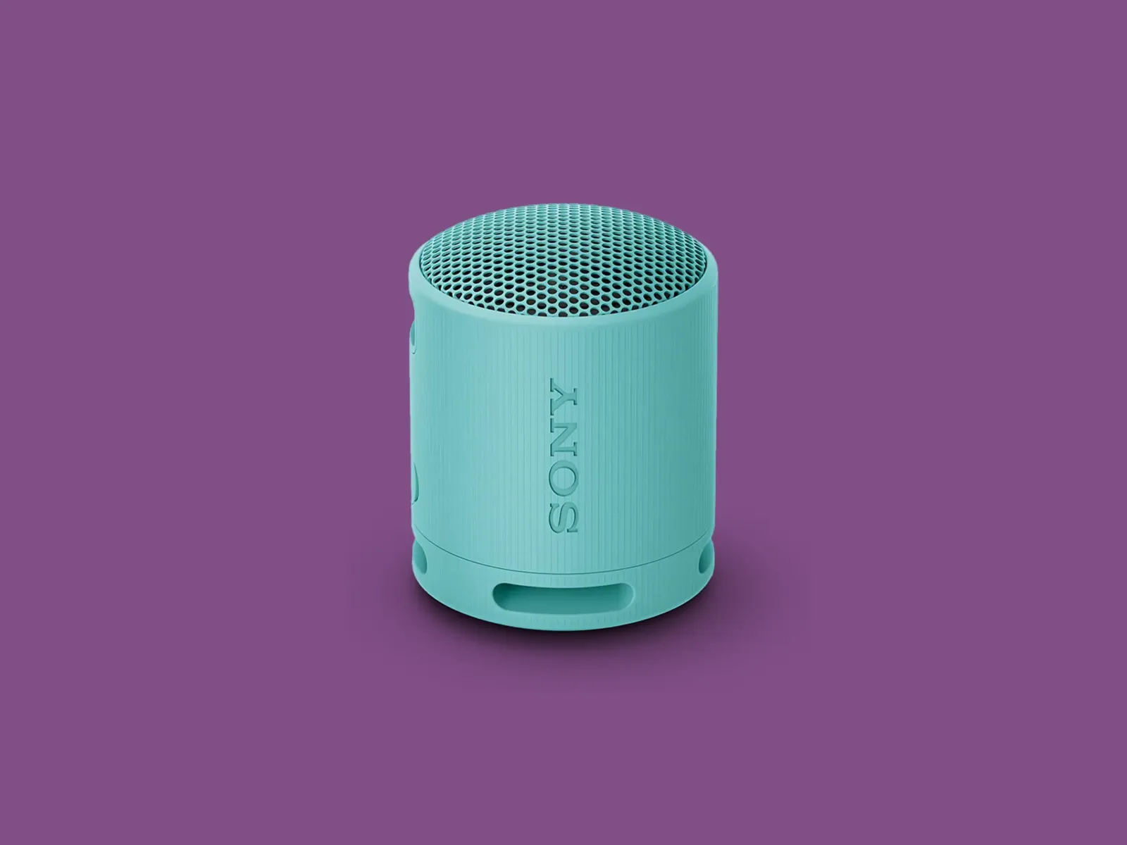 Sony SRS-XB100