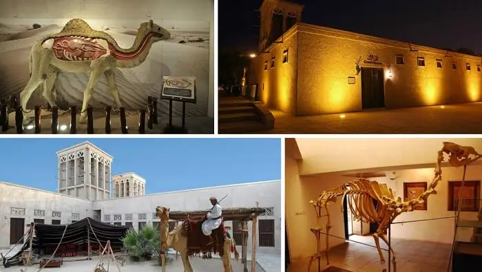 Camel Museum