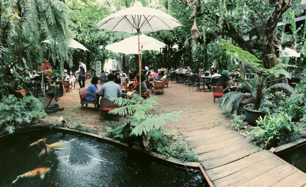 Cafes in chiang-mai 