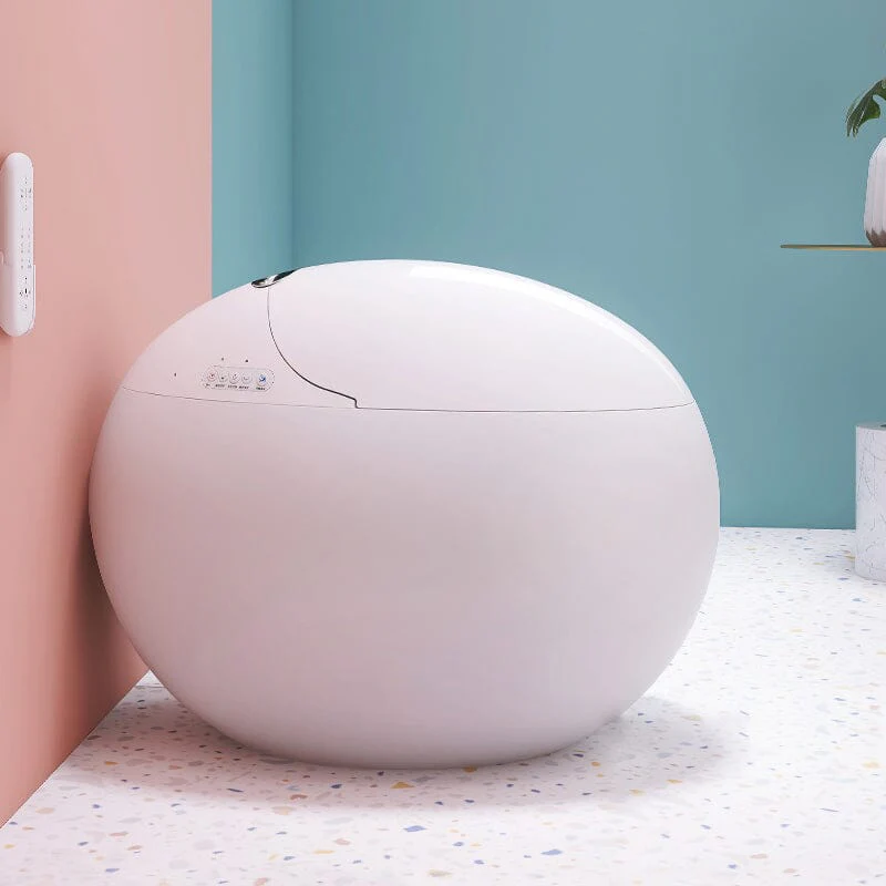 Egg-shaped Smart Toilet