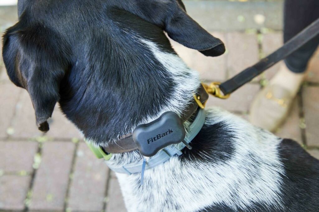 FitBark GPS Dog Tracker 