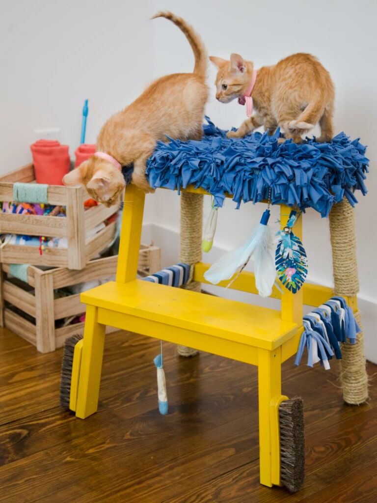 DIY Cat Condo