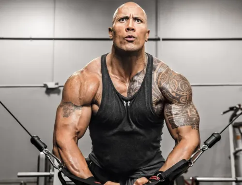 The Rock ကြီး ပုံမှန်ကစားတဲ့ Chest လေ့ကျင့်ခန်းတွေကို လေ့လာကြည့်ရ‌အောင်