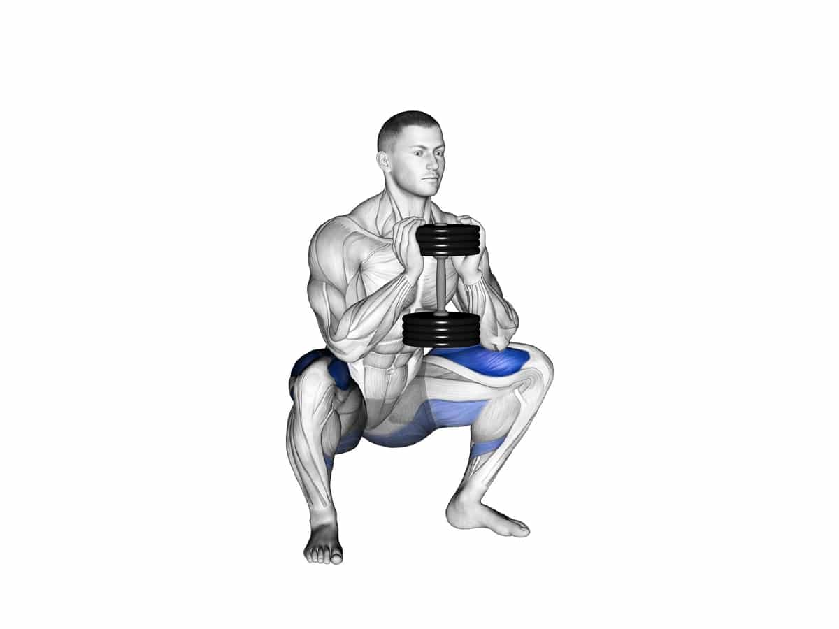  Goblet Squat 