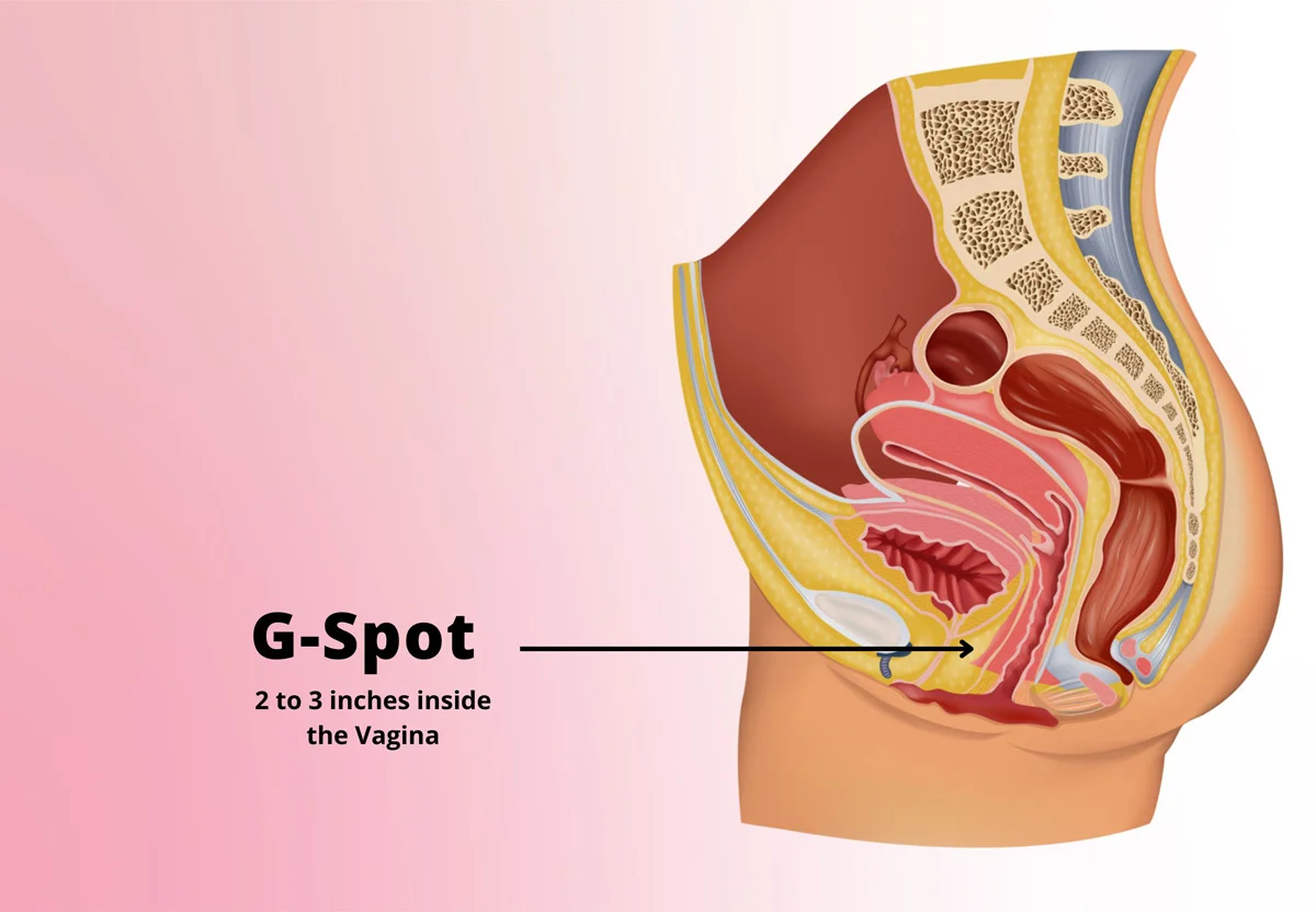 G-spot 