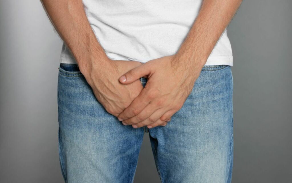 Penis erections 