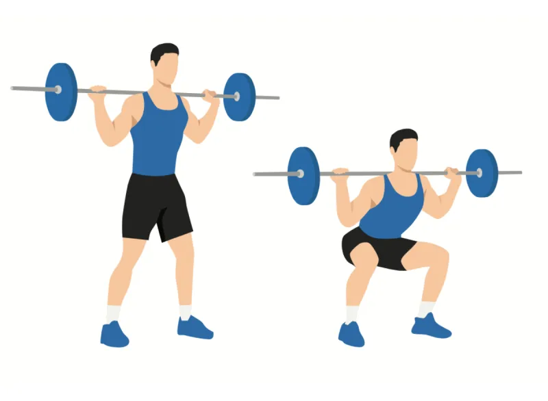 Barbell Back Squats