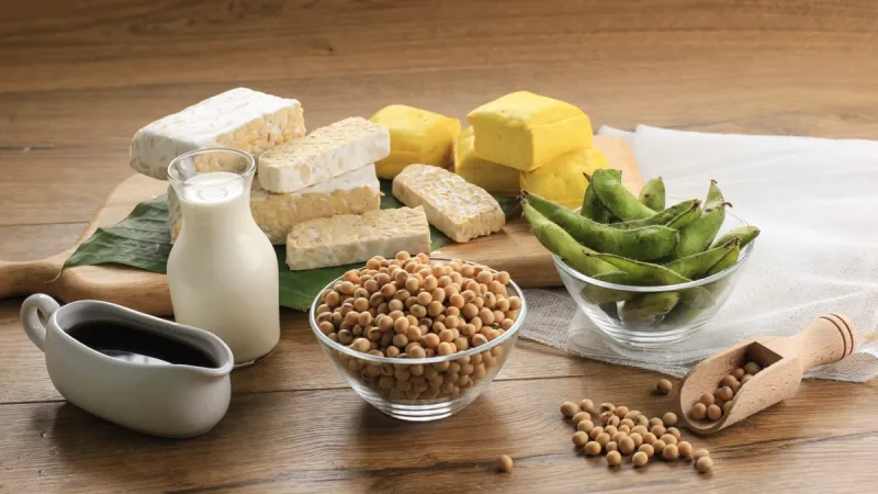 Soy Based Protein