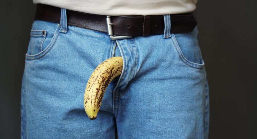 penis size 