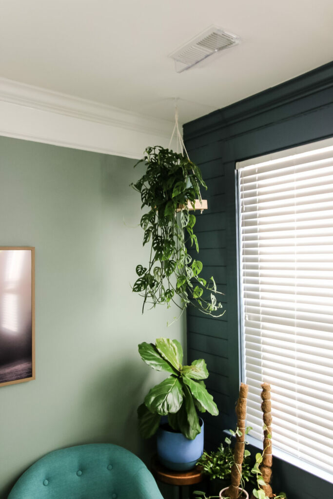 hanging plant shelf 