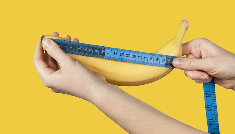 penis size 