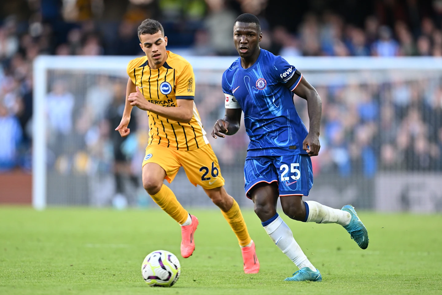 chelsea vs brighton