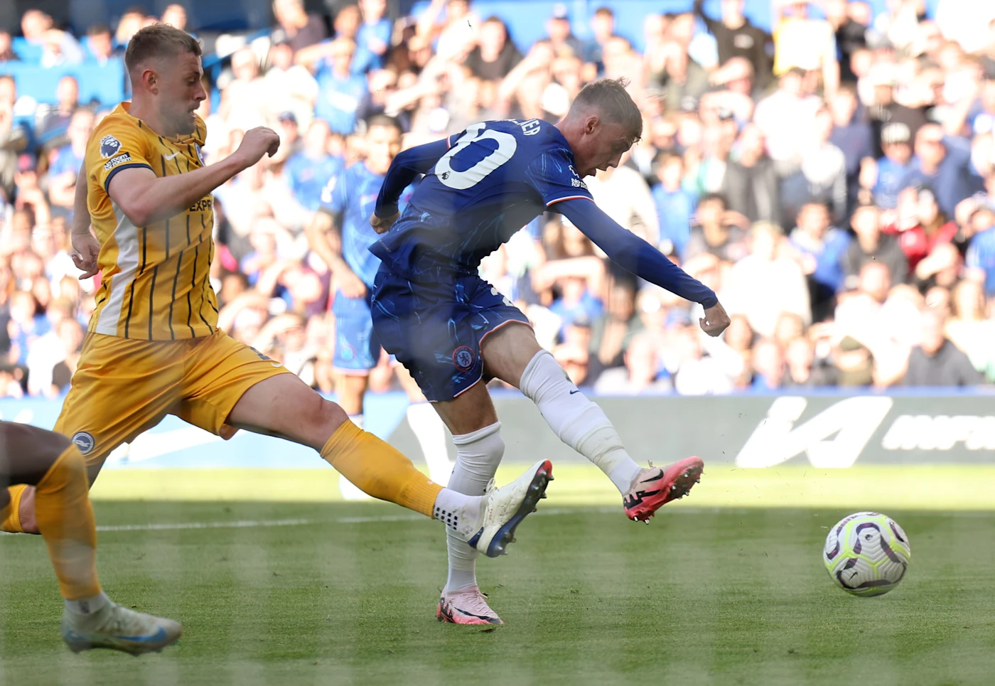 chelsea vs brighton