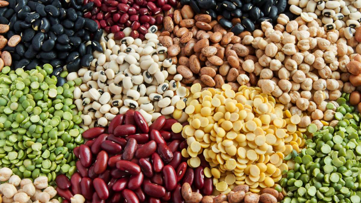 beans 