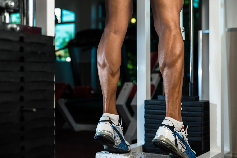 calf raises